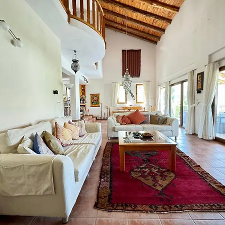 Villa Olive