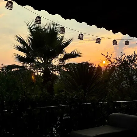 Olive * Fethiye