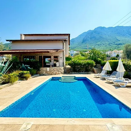 Olive Villa *